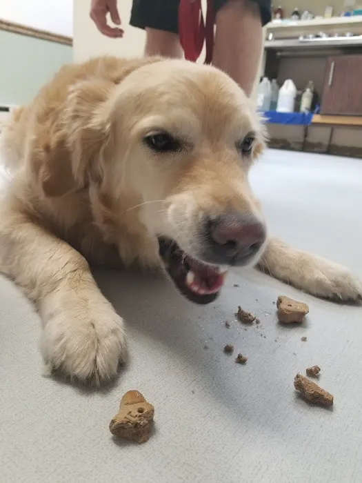 Lake Hopatcong Animal Hospital Picture 4