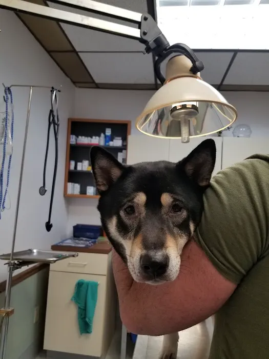 Lake Hopatcong Animal Hospital Picture 6