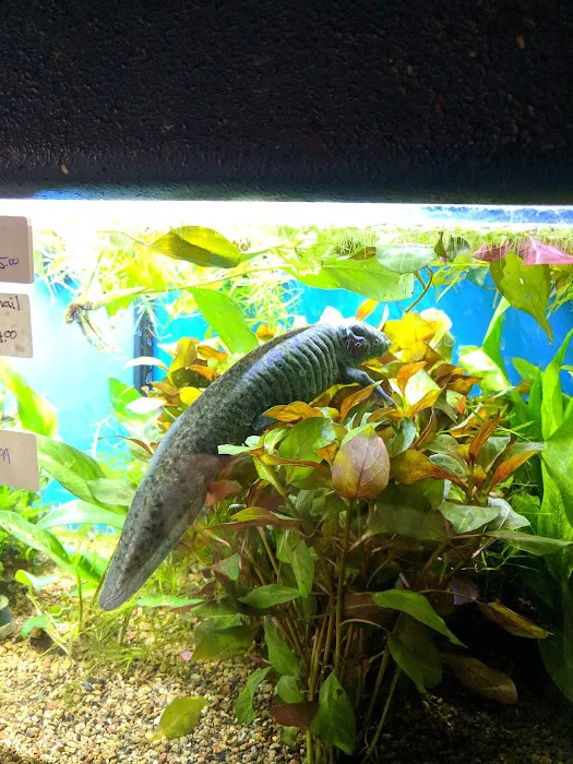 Just Pets Picture 10