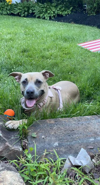 Hamburg Veterinary Clinic Picture 7