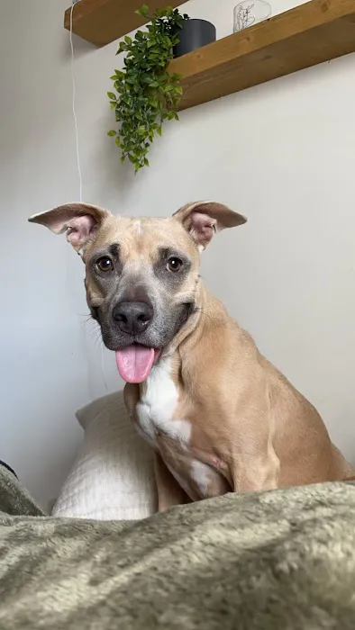 Hamburg Veterinary Clinic Picture 8