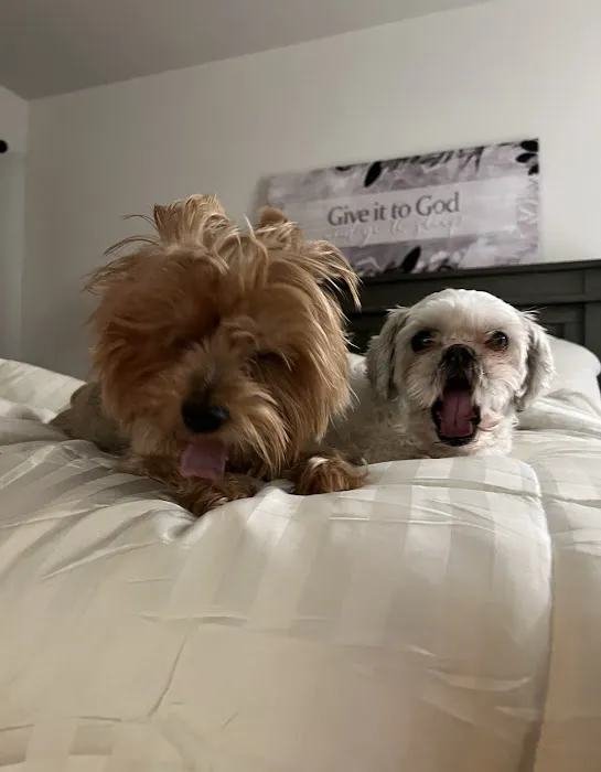 Hamburg Veterinary Clinic Picture 9