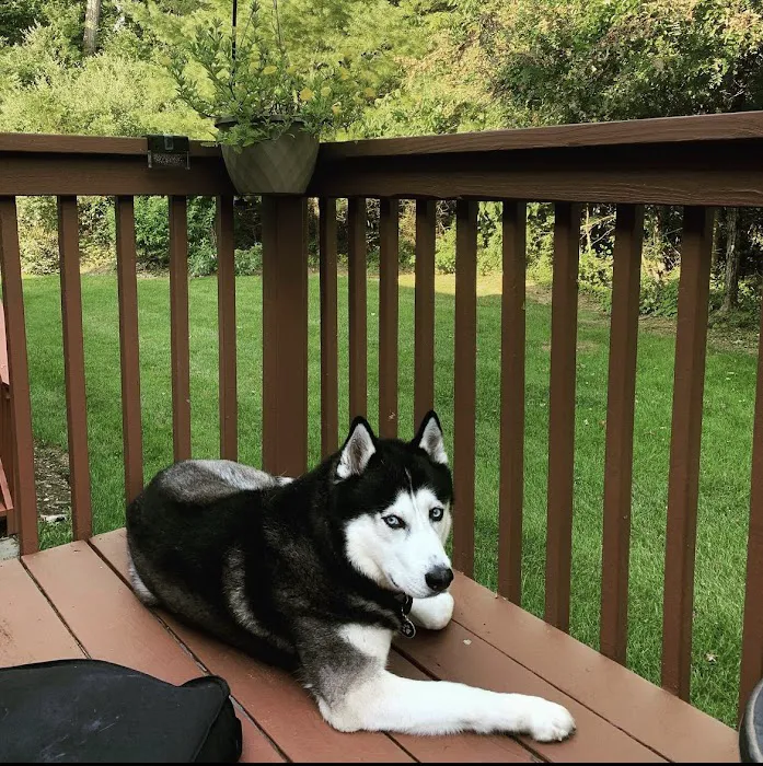 Hamburg Veterinary Clinic Picture 4