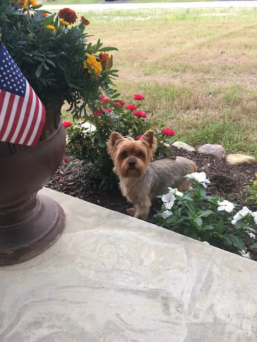 Hamburg Veterinary Clinic Picture 2