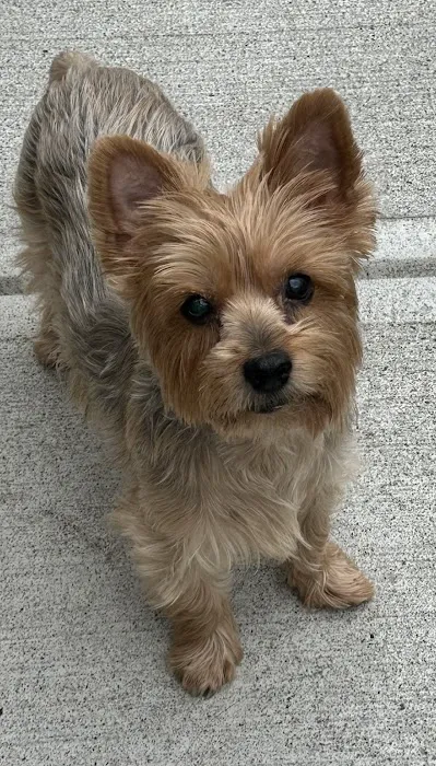 Hamburg Veterinary Clinic Picture 5