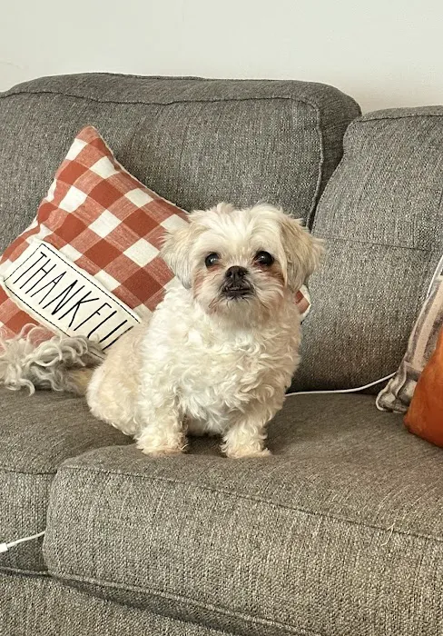 Hamburg Veterinary Clinic Picture 1