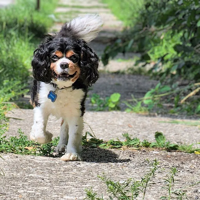 Hamburg Veterinary Clinic Picture 6