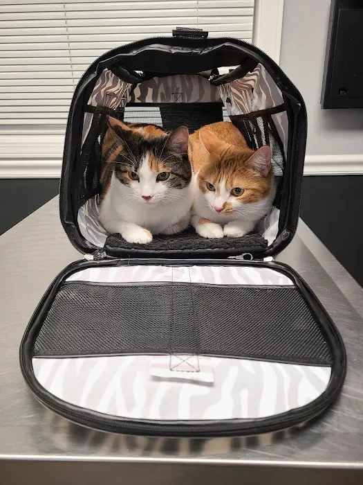 Hamburg Veterinary Clinic Picture 10