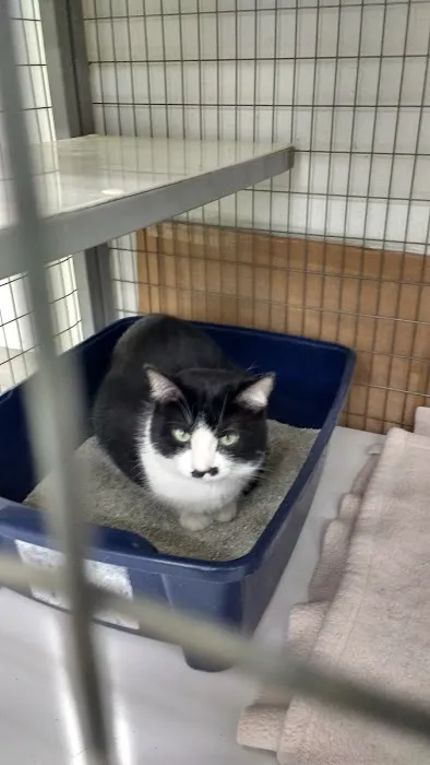 Pet Supplies Plus Appleton Picture 3