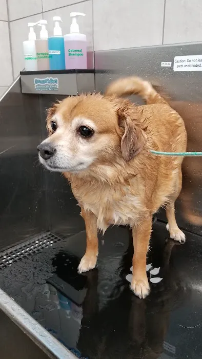 Pet Supplies Plus Appleton Picture 7