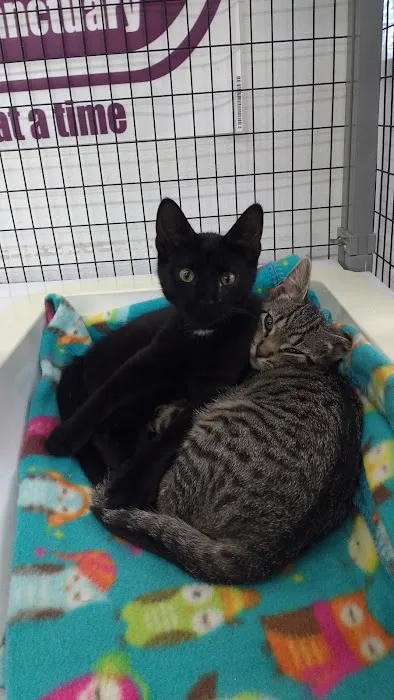 Pet Supplies Plus Appleton Picture 10