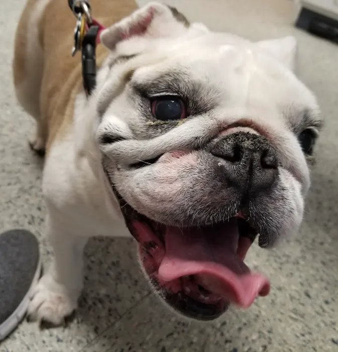 Wantage Veterinary Hospital Picture 8