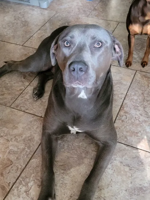 Wantage Veterinary Hospital Picture 5