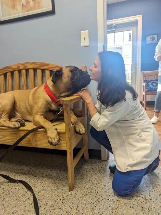 Wantage Veterinary Hospital Picture 9