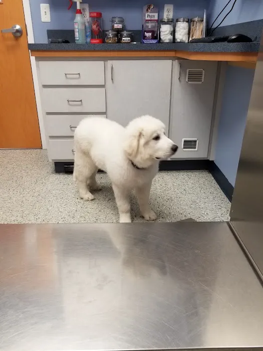 Wantage Veterinary Hospital Picture 3