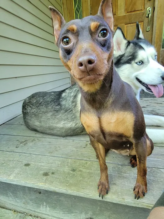 Wantage Veterinary Hospital Picture 7