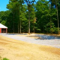 Woods End Equine Veterinary Services ico