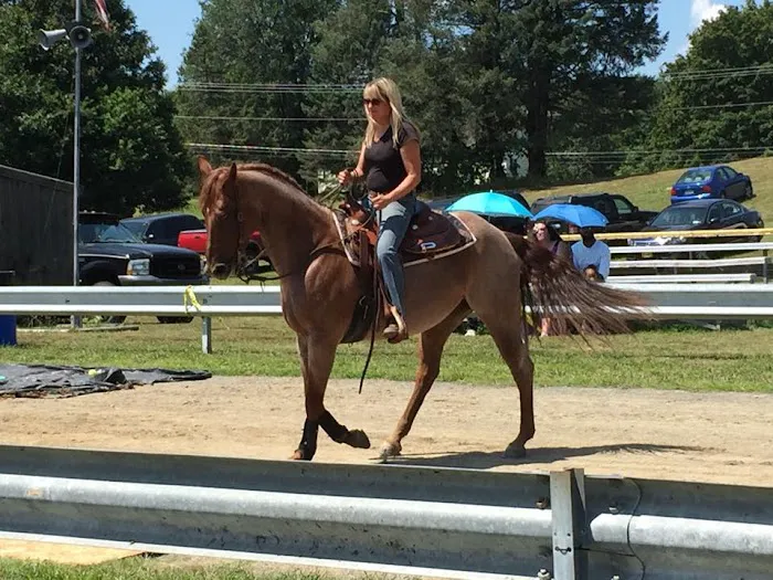 Woods End Equine Veterinary Services Picture 6