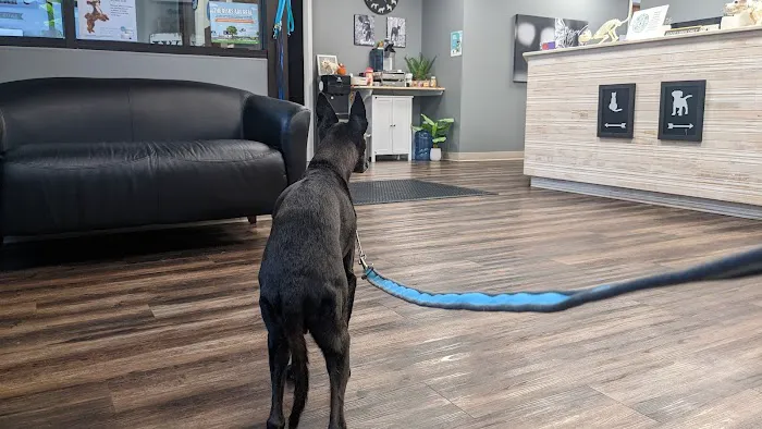 Veterinary Center of Hardyston Picture 3