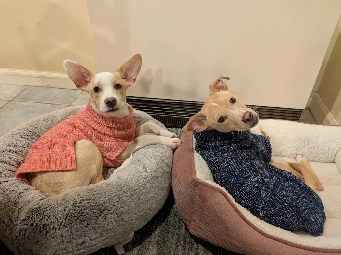 Veterinary Center of Hardyston Picture 5