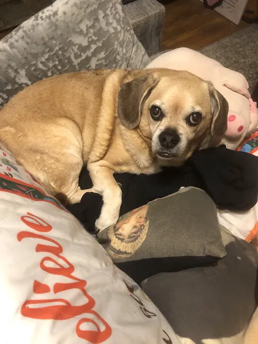 Veterinary Center of Hardyston Picture 6