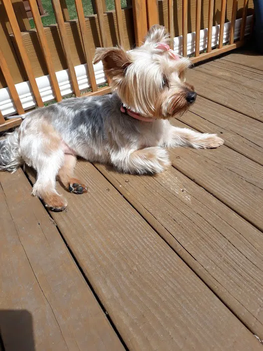 Veterinary Center of Hardyston Picture 2