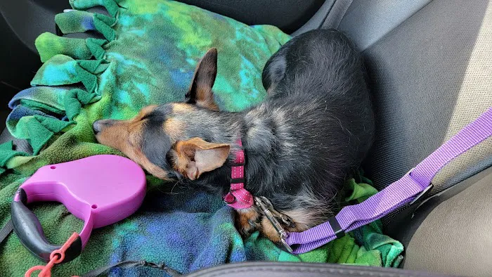 Veterinary Center of Hardyston Picture 4