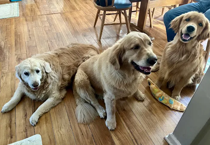 Veterinary Center of Hardyston Picture 1