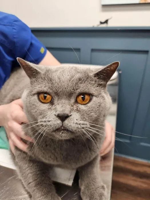 Veterinary Center of Hardyston Picture 10