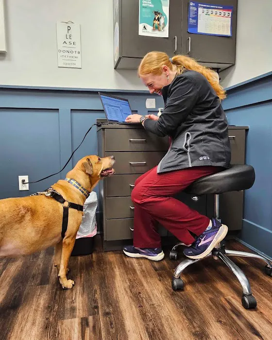 Veterinary Center of Hardyston Picture 9