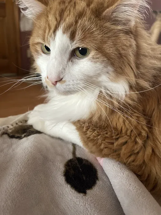 Veterinary Center of Hardyston Picture 8