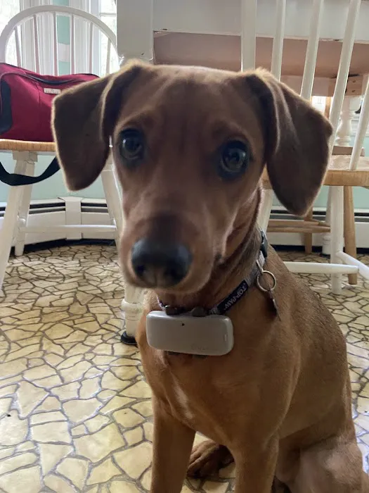 Skylands Veterinary Services Picture 1