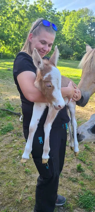 Skylands Veterinary Services Picture 2