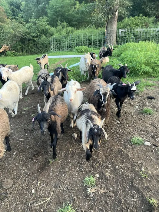 Skylands Veterinary Services Picture 6