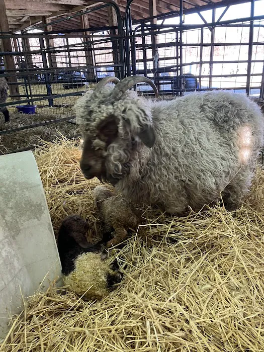 Skylands Veterinary Services Picture 5