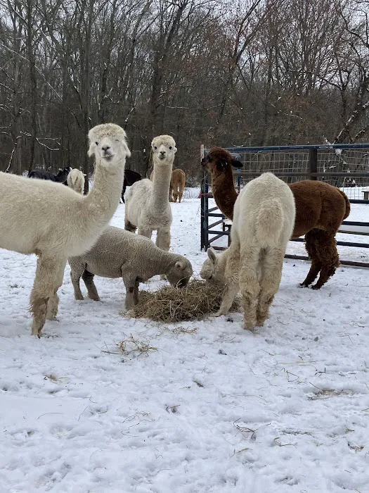 Skylands Veterinary Services Picture 7