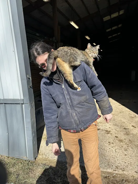 Skylands Veterinary Services Picture 9