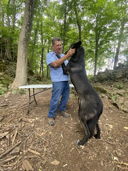 Skylands Veterinary Services Picture 10