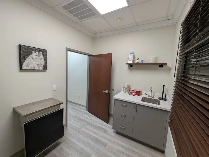 Village Vets Picture 6