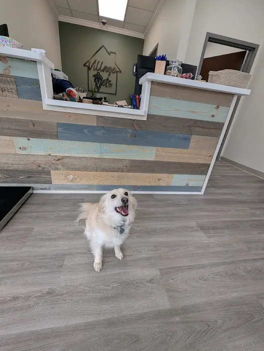 Village Vets Picture 9