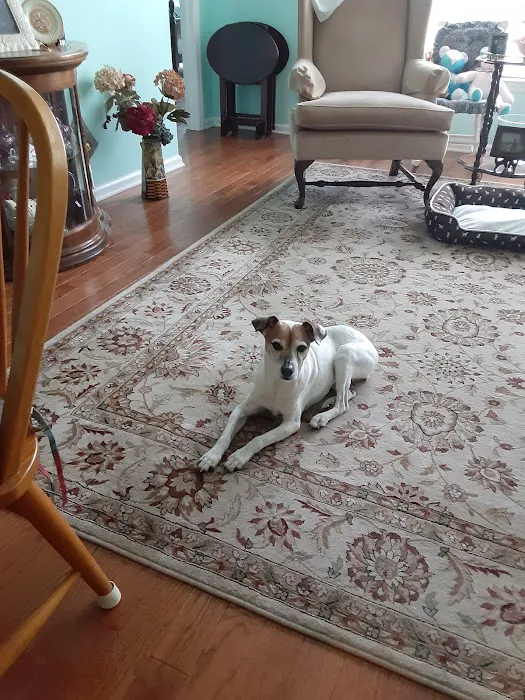 MountainView Veterinary Hospital Picture 1