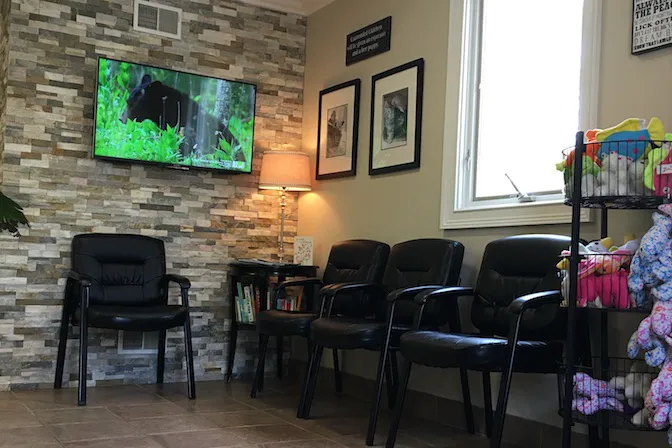 MountainView Veterinary Hospital Picture 3