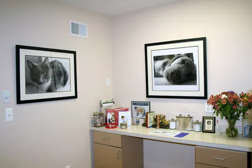 MountainView Veterinary Hospital Picture 5