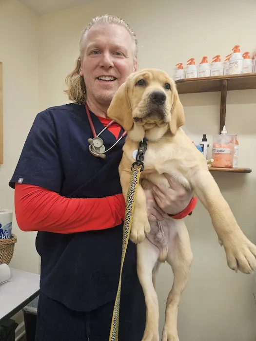 All Creatures Great and Small Animal Hospital and Urgent Care Picture 2