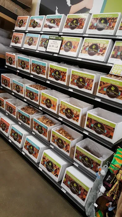 Hollywood Feed Picture 1