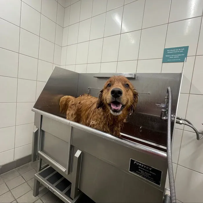 Hollywood Feed Picture 3