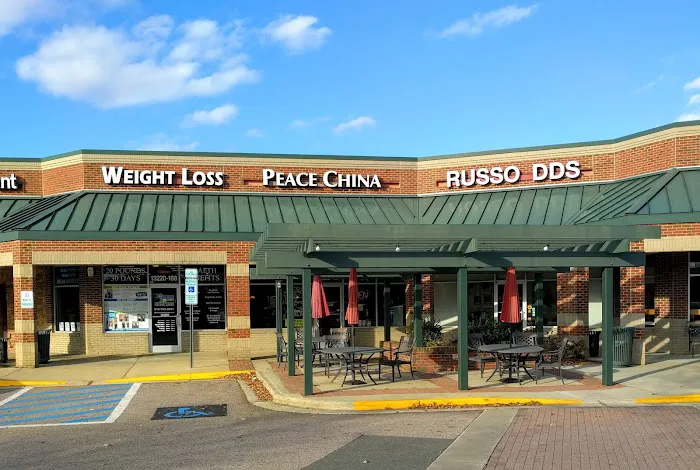 Hollywood Feed Picture 8