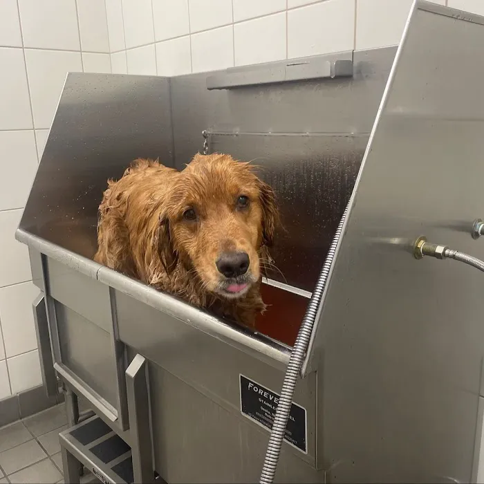 Hollywood Feed Picture 10