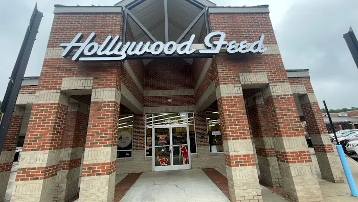 Hollywood Feed Picture 9