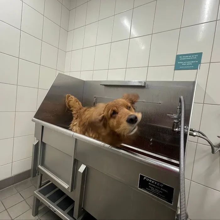 Hollywood Feed Picture 7